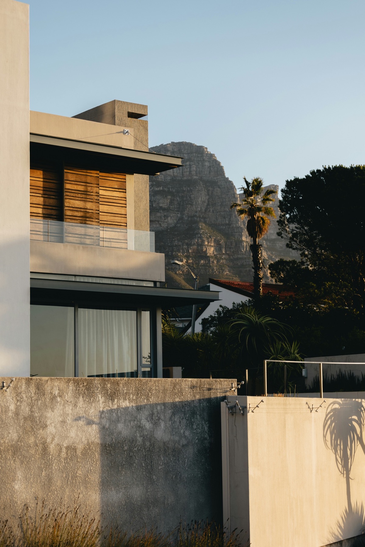 Villa moderne avec palmier